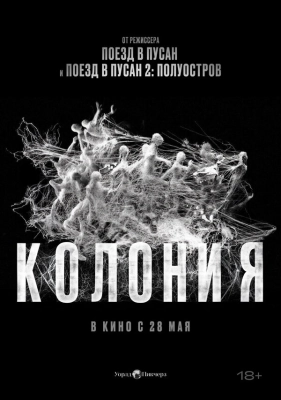 Колония